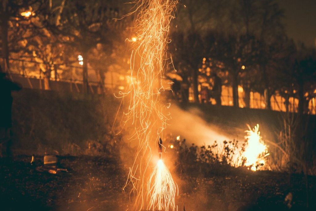 Botti di Capodanno come proteggere i nostri animali