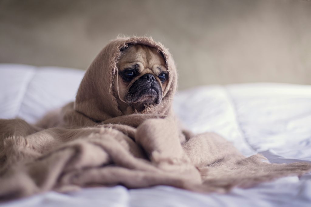 sonno e insonnia